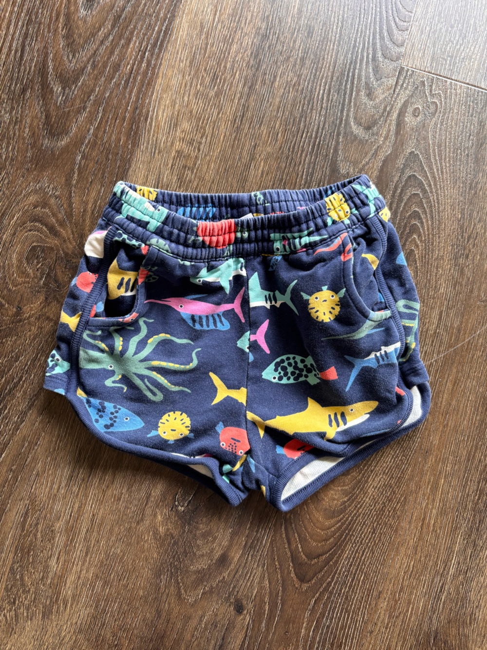 Hanna Andersson Shorts